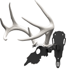 Hunters Specialties Antler Shed Mount | 888151031018