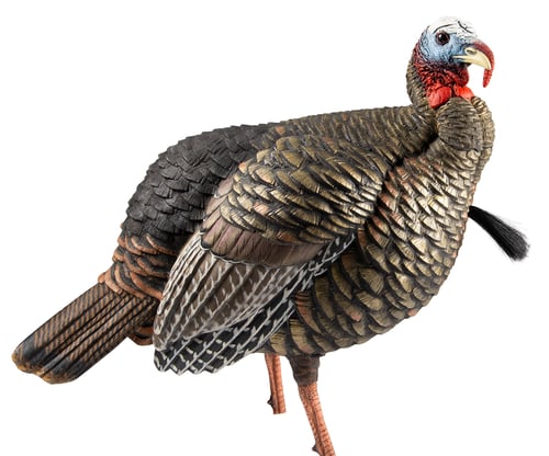 Avian-X HDR Jake Decoy | 082271001030