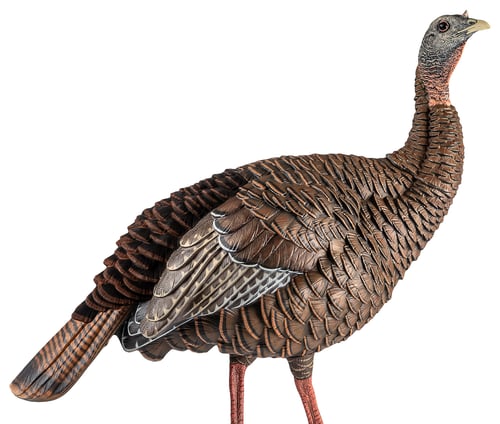 Avian-X HDR Hen Turkey Decoy | 082271001696