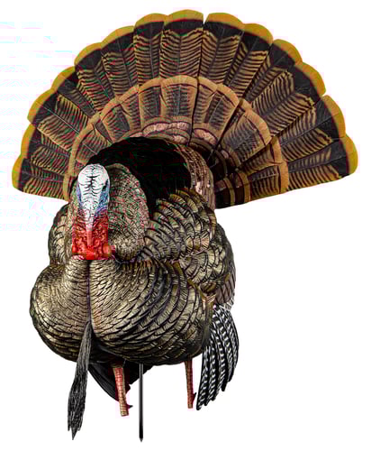 Avian-X HDR Strutter | 082271001825