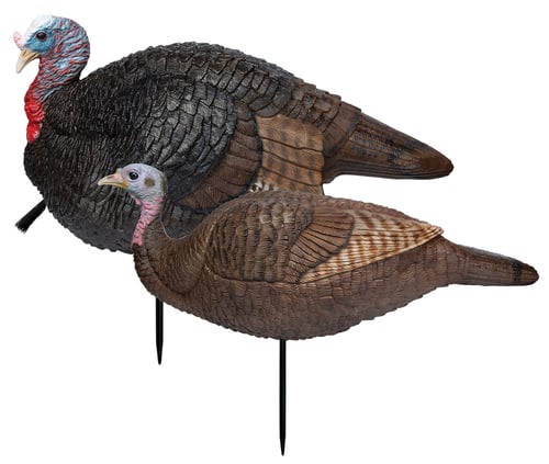 Primos Lil Gobstopper Hen and Jake Combo Set Decoys | 010135690755