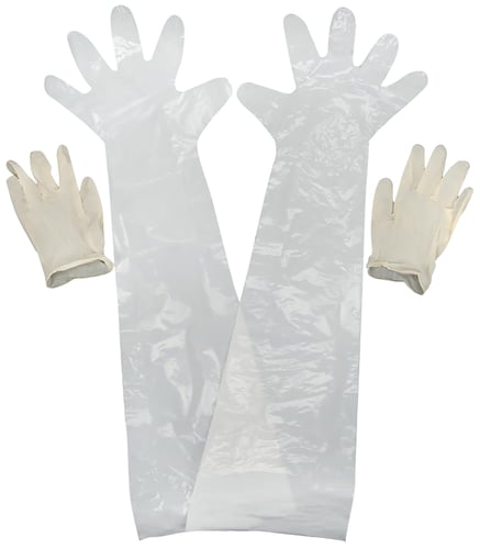Allen Field Dressing Glove - 2-Pair | 026509000518