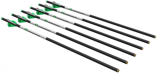 Centerpoint 20 Crossbow Arrows 6 pack 400-Grain | 028478149502