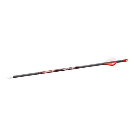 Bloodsport Judgement Arrow 350 Spine 6/pk | 042609000883