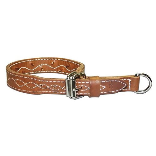 Omnipet Leather Force Collar 1.25 x 21 Brown | 024764133149