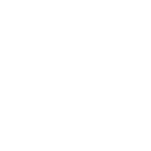 Brand__Taurus