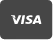 visa icon